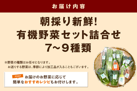 朝採り新鮮！有機野菜セット詰合せ（7～9種類） 採れたて 産地直送 葉物 有機JAS認証 野菜セット 旬の野菜 野菜 【139_1918】