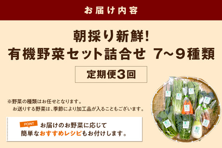 朝採り新鮮！有機野菜セット詰合せ（7～9種類）3回コース【定期便】 定期便 採れたて 産地直送 葉物 有機JAS認証 野菜セット 旬の野菜 野菜【139_1919】