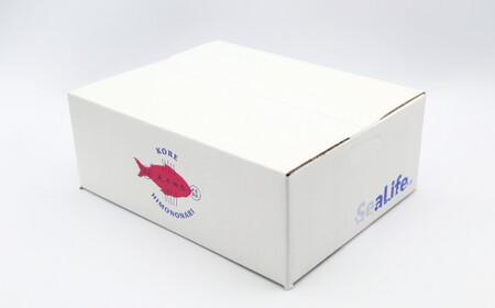 天然アンコウ鍋1.0kg（4人前）セット 魚エキス配合みそ味の鍋の素付き 魚 海鮮鍋 海鮮 鍋 鍋セット あんこう スープ付き 1キロ ご当地グルメ 【005_0135】