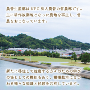 【2026年2月上旬から順次発送】温州みかんジュース 720ml × 12本 果汁100% 無添加 ストレートジュース 数量選択可 | みかんジュース 果汁100% みかんジュース ストレート 100% ジュース 柑橘 果汁飲料 みかんジュース NPO法人農音 愛媛県 松山市 中島【NO102】