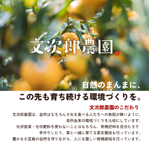 【 小豆島 】文次郎農園 早摘み檸檬胡椒＆摘果実蜜柑胡椒 調味料 胡椒 レモン 檸檬 みかん 蜜柑 ミカン 柑橘  爽やか ピリ辛 ギフト 贈り物 香川 香川県 土庄 土庄町