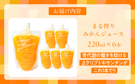 果汁 100％ まる搾り みかん ジュース 220ml×6本 機能性表示食品 飲料 ソフトドリンク 果物 フルーツ 柑橘 ミカン シャーベット 国産 人気 おすすめ ギフト おすそ分け お土産 贈り物 プレゼント お取り寄せ 宮崎県 日南市 送料無料_AA60-24