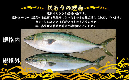 鰤訳あり鰤切身1kg南予ビージョイD011-150006