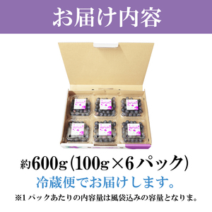 【2週間配送】ブルーベリー 600g（100×6パック）  生ブルーベリー 手摘み 大粒 フルーツ 果物 人気 徳島県 小松島市