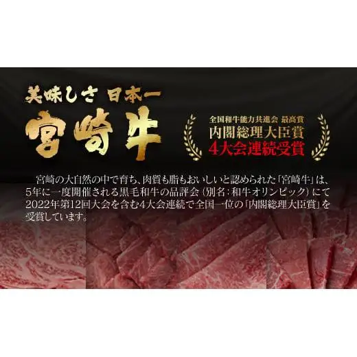 【お中元ギフト】【生産者応援】宮崎牛ロースステーキ2枚 計500g 牛肉 ステーキ 高級部位 ブランド牛 ミヤチク 内閣総理大臣賞4連覇＜47-15b＞