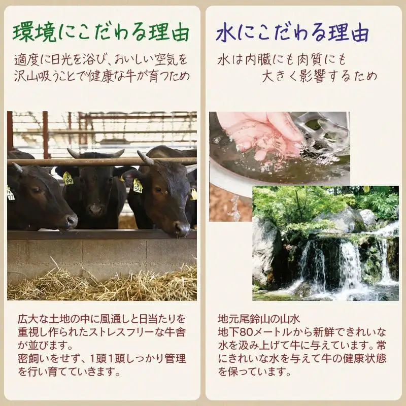 【お中元ギフト】黒毛和牛稀少部位を含む 特上焼肉極み500g 有田牧畜産業ブランドEMO牛 牛肉 焼肉 国産牛肉＜14-13a＞