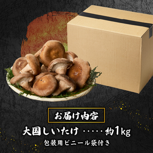 『大国しいたけ』菌床しいたけ　1kg 厳選 高級 椎茸 きのこ 肉厚 ジューシー 新鮮 山梨県産 北杜市産 [h122]