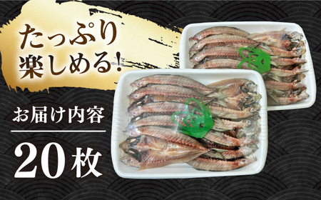   あじ 開き 20枚 [JAQ006] あじの開き