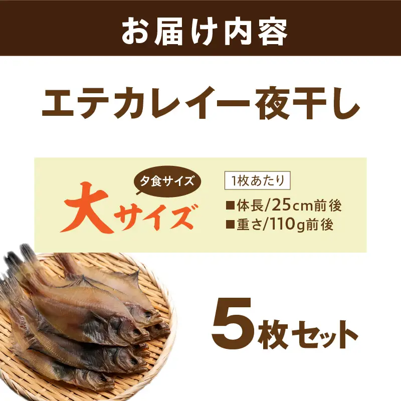 【店主一押し！絶品干物！高リピート！】エテカレイ一夜干し　大サイズ（夕食サイズ）5枚