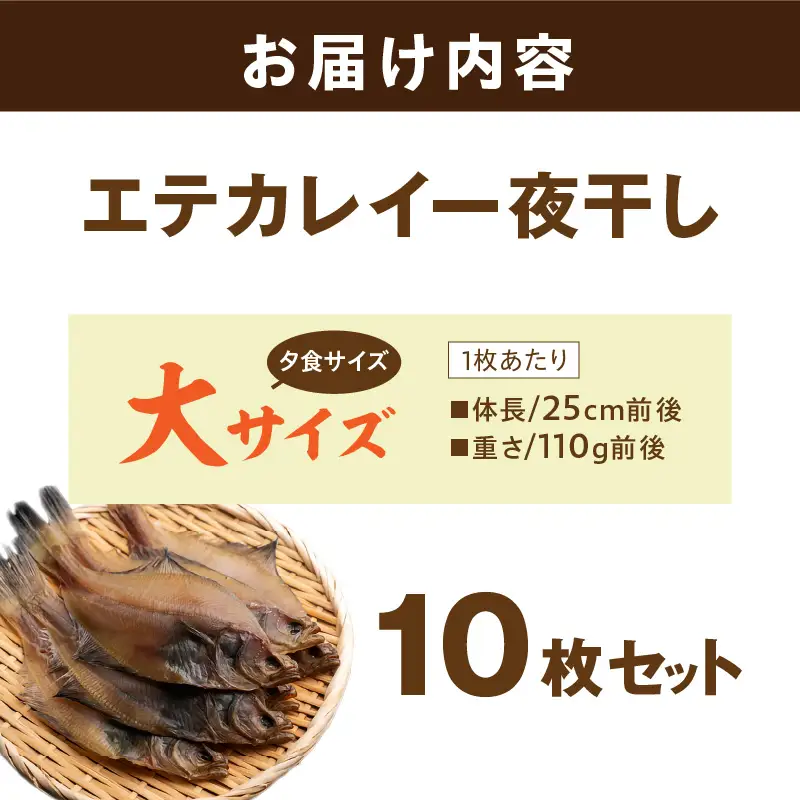 【店主一押し！絶品干物！高リピート！】エテカレイ一夜干し　大サイズ（夕食サイズ）10枚