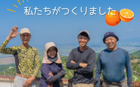 【訳アリ】「河内みかん堂」のみかん4kg＋傷み補償付き（家庭用）【2026年11月上旬～2027年2月上旬まで発送予定】