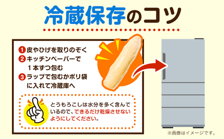 朝採りとうもろこし 河合農園のスイートコーン 12本 特大サイズ(1本380g以上) 河合農園《2026年8月上旬-9月中旬頃出荷》特大 北海道とうもろこし　とうもろこし　とうもろこし　とうもろこし 北海道 朝採れ 真空予冷 冷蔵 高糖度 夏野菜