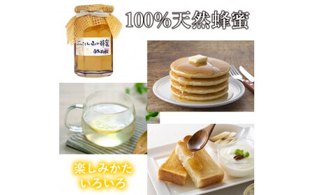 【先行予約】爽やかな香り広がる ぶんたん山の蜂蜜 360g×3本セット 高知県土佐市 【株式会社SHIRAKI】 [BQAI055]