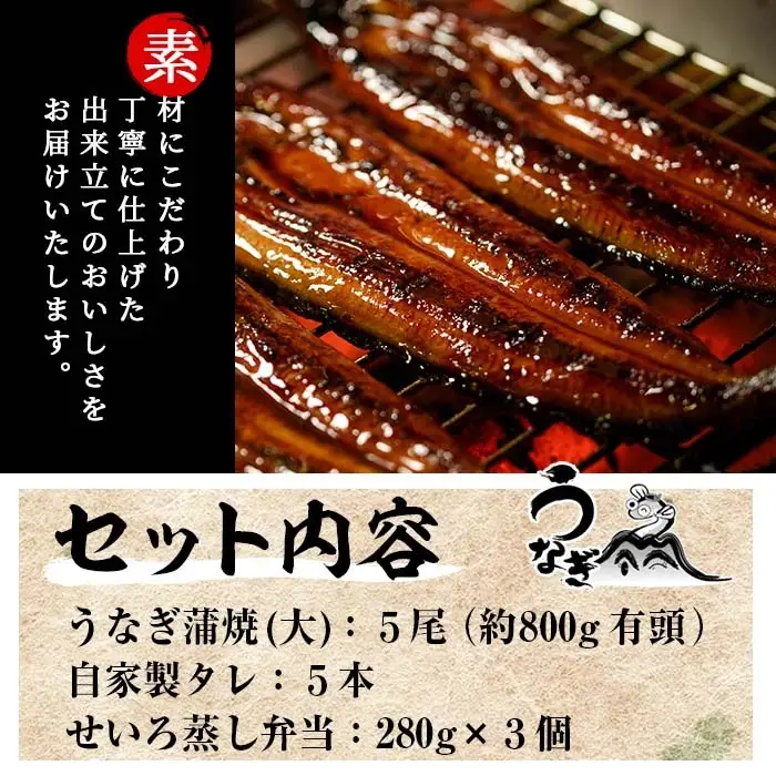 鹿児島県産 うなぎ 蒲焼 大 5尾 せいろ蒸し弁当 3個 セット 【00-025-14】