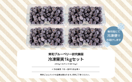 《2026年7月以降順次発送》ブルーベリー冷凍果実1kg（品種おまかせ） ブルーベリー フルーツ【東和ブルーベリー研究農園】