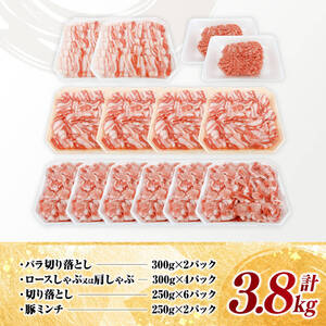  宮崎県産豚肉4種3.8kg 国産 豚肉 九州産 小分け
