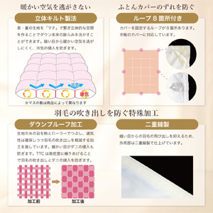 【春夏用】洗える羽毛布団 シングル 肌掛け ダウン 夏 春 ホワイトグースダウン93% 0.3kg 青系柄 [川村羽毛 山梨県 韮崎市 20743704]