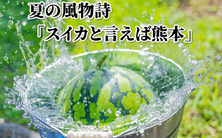 訳あり 大玉すいか 1玉 約6kg?9kg 送料無料 スイカ すいか 益城町産 お取り寄せ お取り寄せグルメ 西瓜 フルーツ 【2026年5月下旬～7月下旬迄順次発送予定】