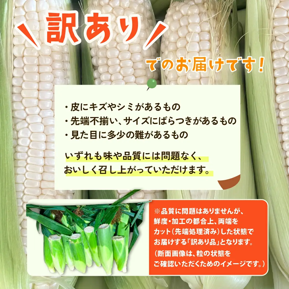 とうもろこし 訳あり ピュアホワイト 6kg 先行予約 トウモロコシ
