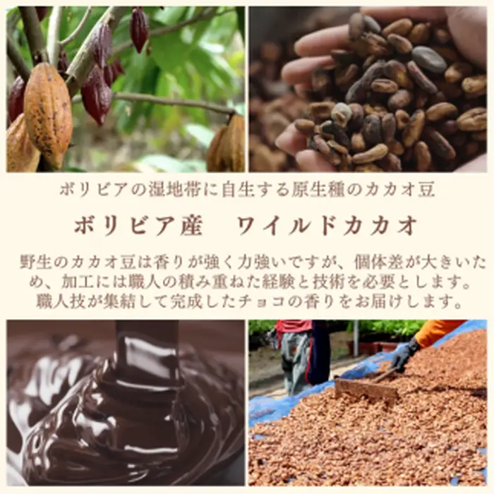 おもてなしセレクション受賞！『隠れ家シェフ手作り』ワイルドカカオテリーヌ Flavor Terrine ショコラ | 洋菓子 スイーツ フレーバーテリーヌ ボリビア 野生カカオ豆 化学調味料 保存料 着色料 香料無添加 グルテンフリー ギフト ご褒美 プレゼント 贈答 埼玉県 越谷市