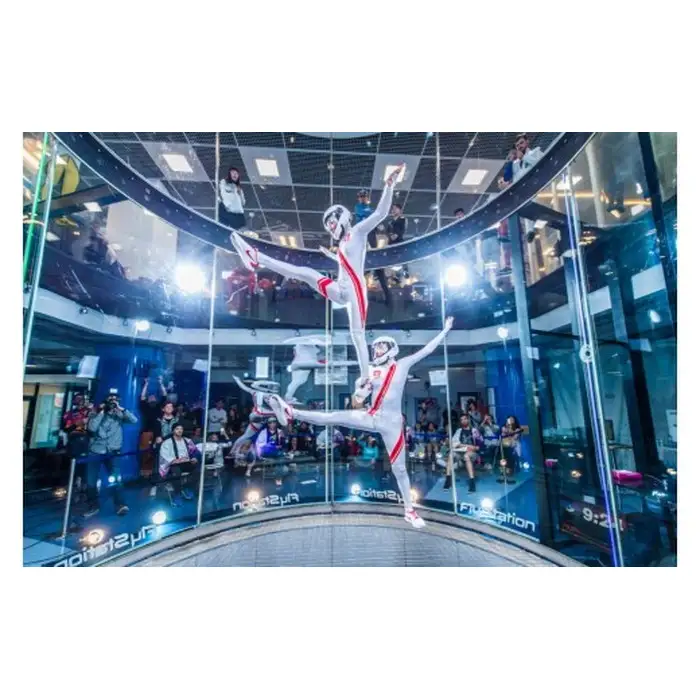 FlyStation 2フライト/タクシーフライ体験チケット | インドアスカイダイビング スポーツ 室内 次世代型アトラクション 最大時速360キロメートル 無重力体験 埼玉県 越谷市