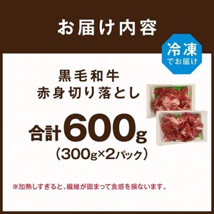 【肉のまち かこがわ】黒毛和牛 赤身切り落とし スライス300g×2 《 黒毛和牛 和牛 牛肉 赤身 お肉 切り落とし 》【2401A00620】