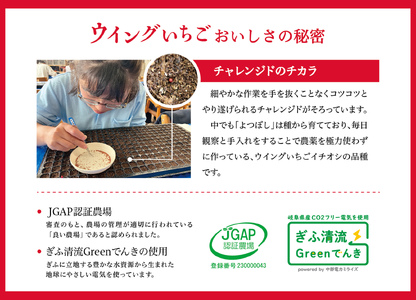 いちごジャム　Jam the Berry×ウイングいちご　【0102-001】岐阜県 可児市 果物 加工品 フルーツ ジャム 果実 丸ごと使用 職人 香り 酸味 甘み 果肉 ヨーグルト いちごミルク お酒 アイス ドレッシング お取り寄せ グルメ
