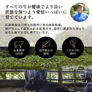 神戸牛 ロースステーキ 5枚 セット 1kg 詰め合わせ 牛肉 肉 冷凍