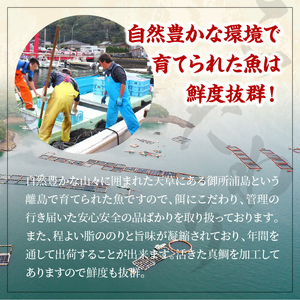 S106-005-T03_【定期便3回】真鯛お刺身用サク【5P】