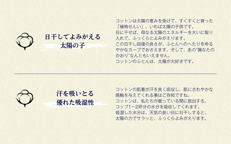 オーガニックコットン 掛ふとん シングルロング