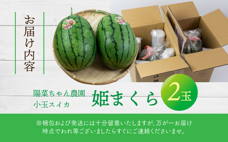 姫まくら　2玉