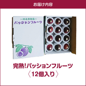 【 2026年 先行予約 】 完熟 ！ パッションフルーツ（ 12個入り ） C065-001-01 果物 フルーツ