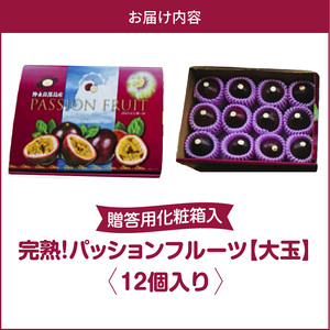 【 2026年 先行予約 】 完熟 ！ パッションフルーツ 【 大玉 】 （ 12個入り ） C065-001-02 果物 フルーツ