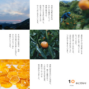 みかん ジュース 3個 ハンディゼリー 2個 愛媛みかん 果汁100% 10 FACTORY | 愛媛 松山 みかんジュース ゼリー みかんジュース ゼリー みかんジュース ゼリー みかんジュース ゼリー 【FCT012】