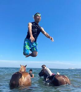乗るだけの乗馬から、馬と一緒に楽しむ 乗馬 へ 三浦の海で 馬と一緒 に 海水浴  ～ 海馬 ： うみうま 90分 ～ M106-002 チケット 体験