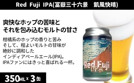 クラフトビール 2種 350ml × 6本 飲み比べ セット 両国麦酒研究所 葛飾北斎 冨嶽三十六景ラベル 地ビール クラフト ビール 缶ビール 詰め合わせ 飲み比べセット お酒 酒 アルコール インディアペールエール ペールエール IPA ipa 冷蔵 東京 墨田区