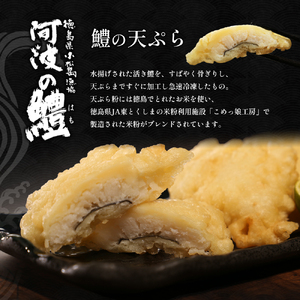 鱧 天ぷら 6個 × 2袋 セット 冷凍 電子レンジ 調理 和食 おかず 徳島県 ハモ 揚げ物 魚介 料理 簡単 かんたん 