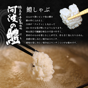 【 定期便 全3回 】 鱧 ハモ しゃぶしゃぶ セット 冷凍 新鮮 産地 直送 高級 料亭 活け 国産 魚介 海鮮 おかず 料理 