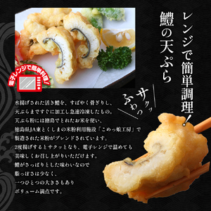 鱧 ハモ しゃぶしゃぶ 天ぷら セット 新鮮 産地 直送 高級 料亭 活け 冷凍 国産 魚介 海鮮 おかず 料理 電子レンジ 調理 