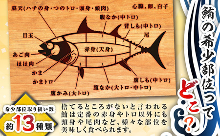 めばち鮪 頭肉 漬け M081-007 冷凍 マグロ