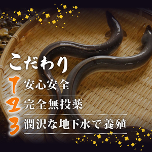 【 きざみうなぎ 】 国産 きざみうなぎ 3パック