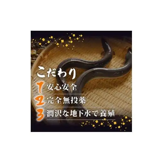 【 きざみうなぎ 】 国産きざみうなぎ蒲焼き 10パック