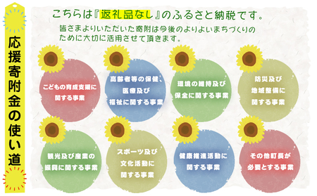 岩手県矢巾町（やはばちょう）応援寄附金（※返礼品なし）5,000円/矢幅 矢巾 観光地応援 支援 応援 国内旅行 教育 高齢者 医療 環境 防災 スポーツ 緑化 泊り お泊り 便利 お得 ホテル