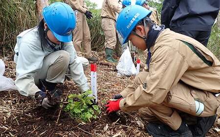 山形県民の宝である「樹氷」の復活！樹氷復活・育成応援事業（返礼品なし） F2Y-9484