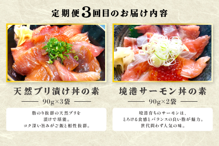 【3回定期便】山芳亭　人気海鮮漬け丼の素シリーズ【マグロ 白いか 真鯛 甘エビ モサエビ ブリ サーモン 海鮮丼 漬け 丼 素 3回 コース 定期便 頒布会 ごはんのお供 簡単 時短 ご自宅用】