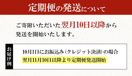＜定期便・全3回(隔月)＞いいちこ 25度 パック(総量32.4L・計10.8L×3回)酒 お酒 むぎ焼酎 1800ml 麦焼酎 いいちこ 常温 三和酒類 紙パック【204300100】【山添産業】