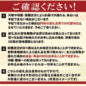 【期間限定】 水揚げ24時間以内発送 綾里の生うに 150g 数量限定 冷蔵 ミョウバン不使用 岩手県産 ムラサキウニ [ 季節限定 生うに 生雲丹 天然 海鮮丼 寿司 ウニ丼 刺身
