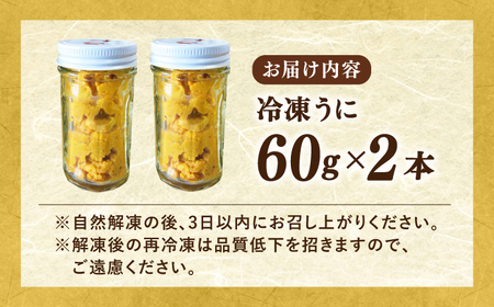 【先行予約】天然 生うに 60g×2【2026年6月以降順次発送】 [JAQ012] 冷凍うに