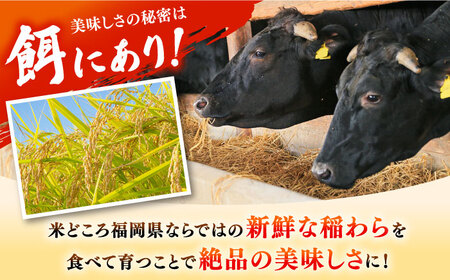 【全3回定期便】【溢れる肉汁！】お肉屋さんの手ごね 特上 博多和牛ハンバーグ 10個 桂川町/株式会社 MEAT PLUS [ADAQ036] 牛肉 ハンバーグ 肉汁 手作りハンバーグ ハンバーグセット 定期便 