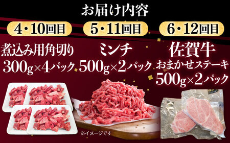 【12回定期便】肉ざんまい定期便（大家族向け・大容量） / 牛肉 [IAX052]